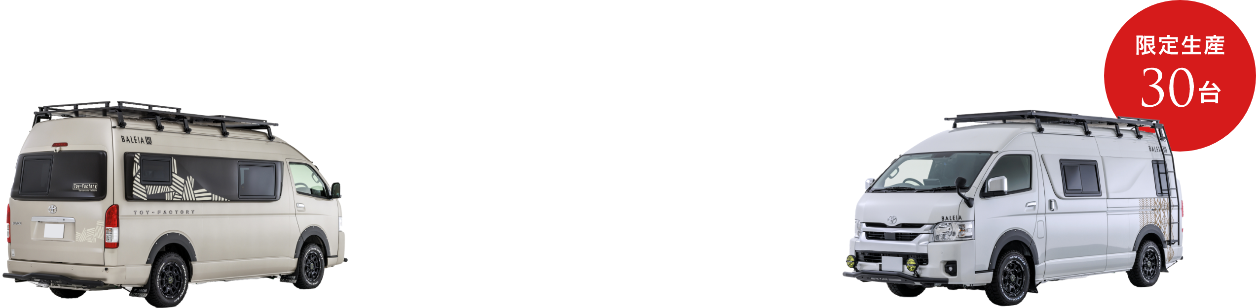 BALEIA<LION KING>EDITION