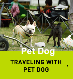 愛犬と旅行 TRAVELING WITH PET DOG
