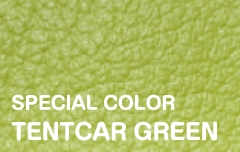 SPECIAL COLOR TENTCAR GREEN