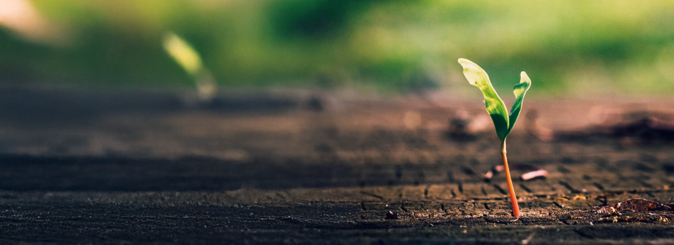 はじまりはいつもTOY-FACTORYから