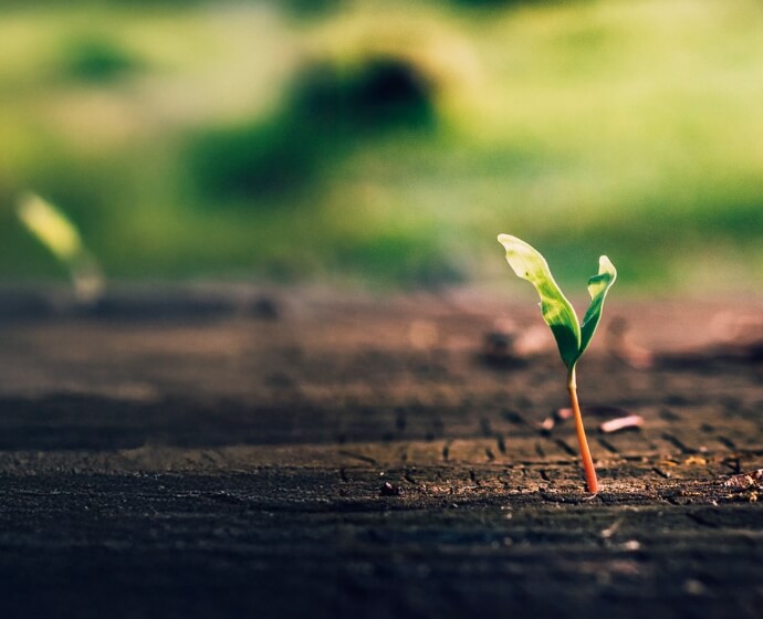 はじまりはいつもTOY-FACTORYから