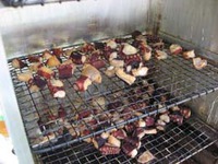 第13回クラブトイキャンプ大会